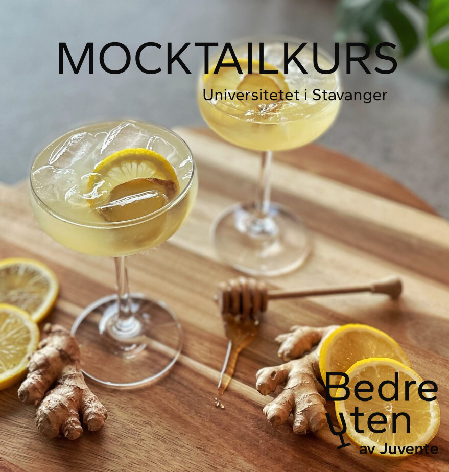 Mocktailkurs Image